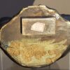 Japon - Bouddha Amida Nyorai - Meiji - 19ème - VENDU – Image 11