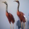 Chine - Couple de Grues en émaux cloisonnés - Début 20ème - VENDU
