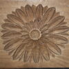 Japon - Kashigata - Chrysanthème - Meiji – Image 3