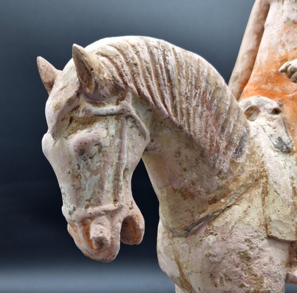 Chine - Cavalière - Début Dynastie Tang - TL – Image 5