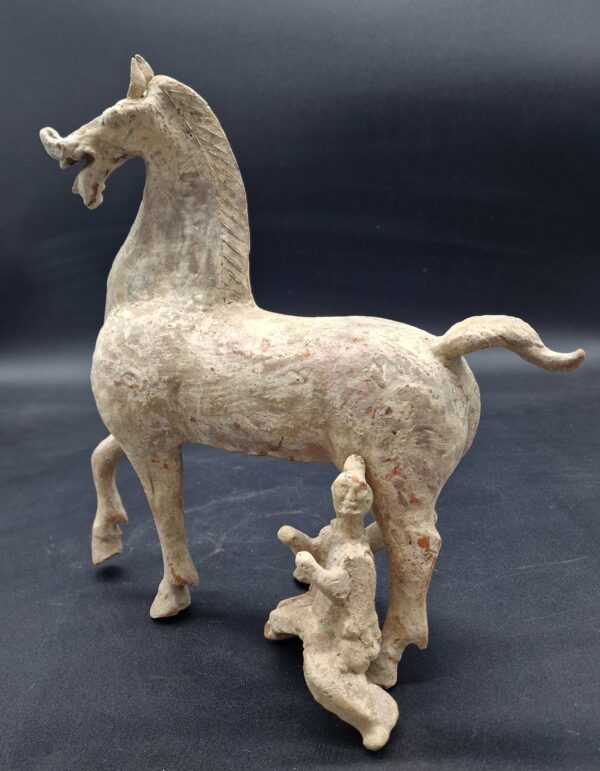 Chine - Rarissime cheval "céleste" avec son cavalier - Dynastie Han - TL – Image 13