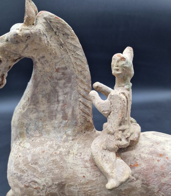 Chine - Rarissime cheval "céleste" avec son cavalier - Dynastie Han - TL – Image 8