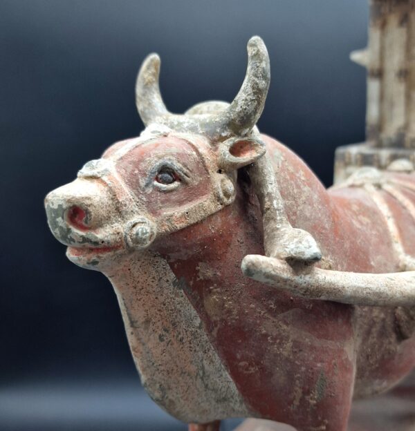 Chine - Chariot et Boeuf harnaché - Dynastie Wei – Image 8