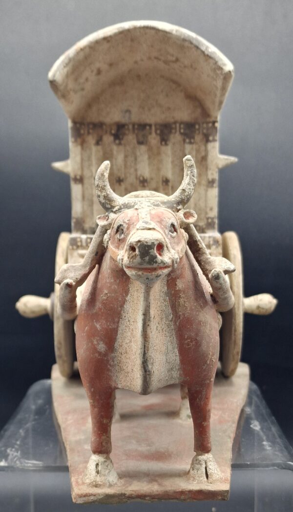 Chine - Chariot et Boeuf harnaché - Dynastie Wei – Image 7