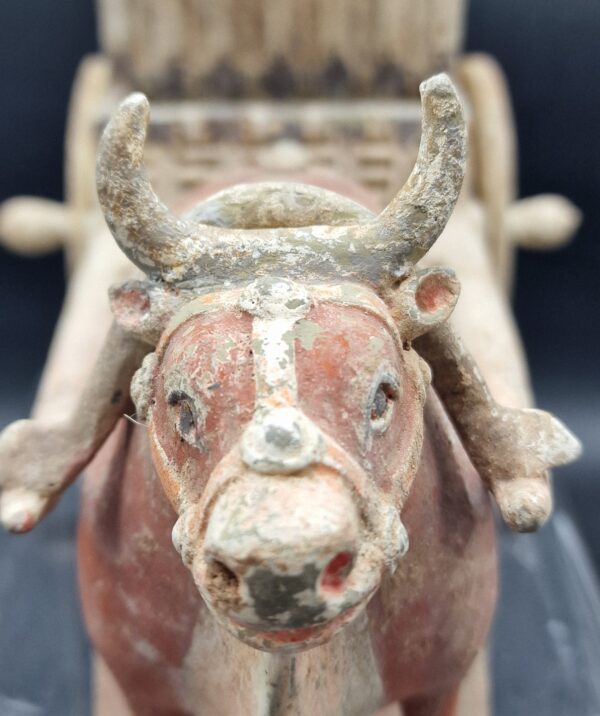 Chine - Chariot et Boeuf harnaché - Dynastie Wei – Image 10