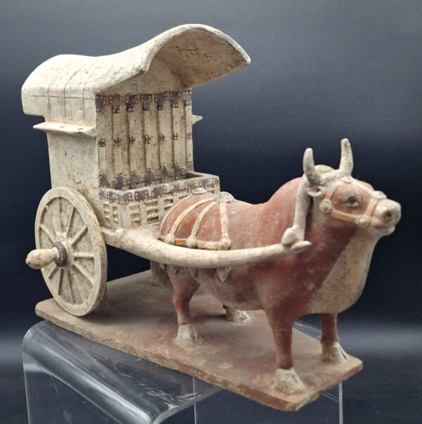 Chine - Chariot et Boeuf harnaché - Dynastie Wei – Image 6