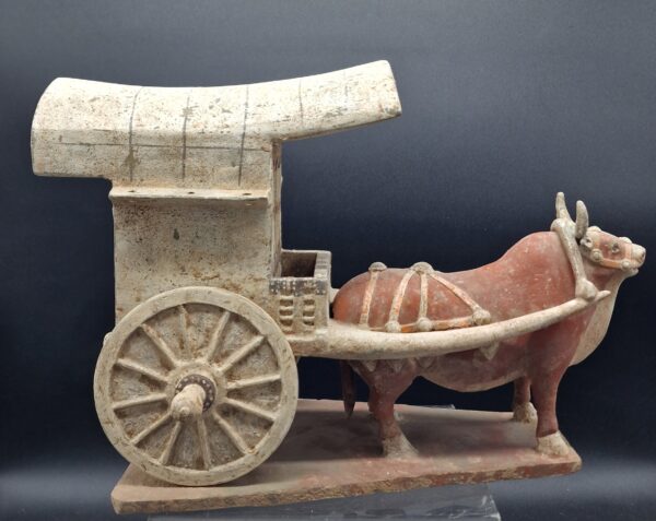 Chine - Chariot et Boeuf harnaché - Dynastie Wei – Image 3