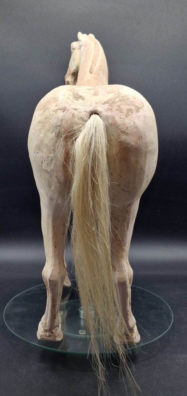 Chine - Magnifique et grand Cheval blanc - Dynastie Tang - TL – Image 10