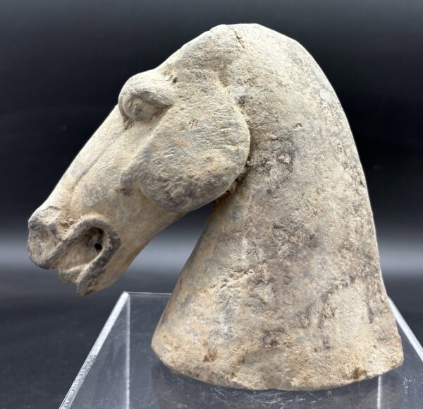 Chine - Tête de cheval à engobe blanc - Dynastie Han – Image 3
