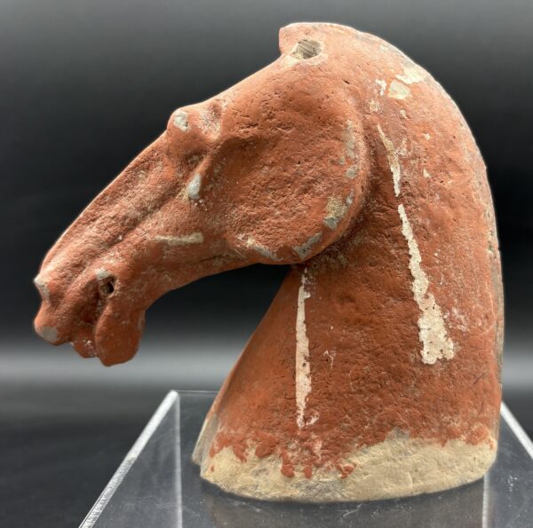 Chine - Tête de cheval, terre cuite rouge - Dynastie Han – Image 2