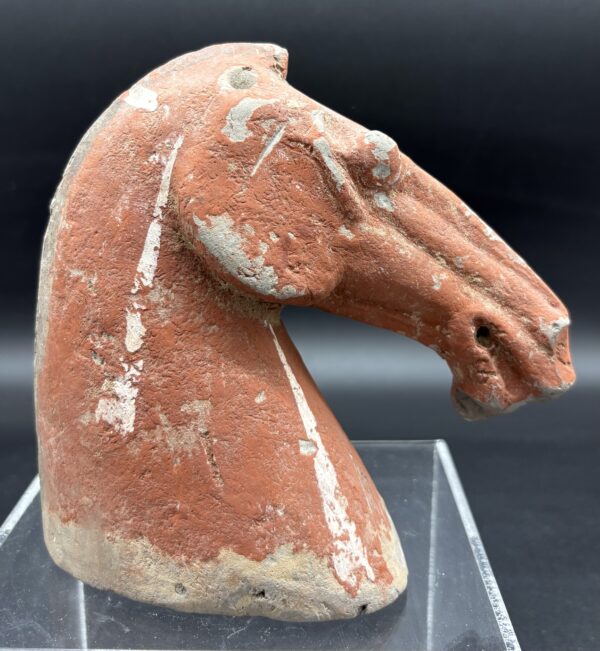 Chine - Tête de cheval, terre cuite rouge - Dynastie Han – Image 3
