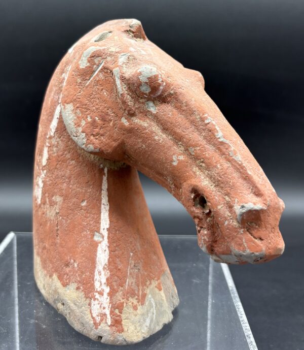 Chine - Tête de cheval, terre cuite rouge - Dynastie Han