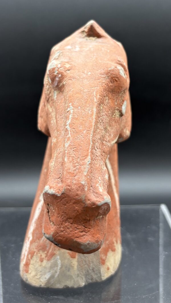 Chine - Tête de cheval, terre cuite rouge - Dynastie Han – Image 4