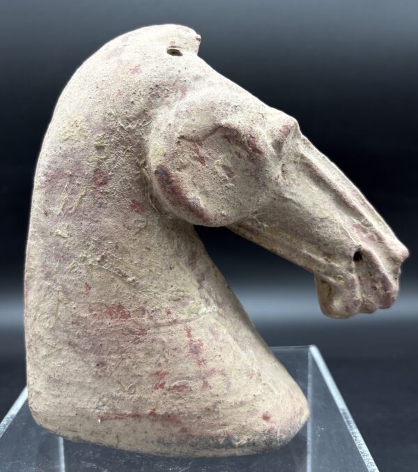 Chine - Tête de cheval à engobe blanc - Dynastie Han – Image 3
