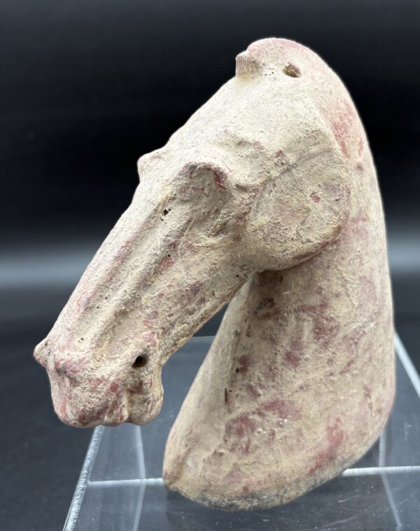 Chine - Tête de cheval à engobe blanc - Dynastie Han